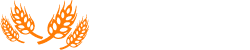 Custom dimensions 250×50 px